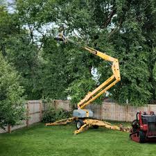 Warsaw, IN Tree Services Company